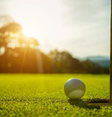 Golf,Ball,Is,On,A,Green,Lawn,In,A,Beautiful