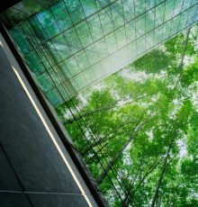 Eco-friendly,Building,In,Modern,City.,Sustainable,Glass,Office,Building,With